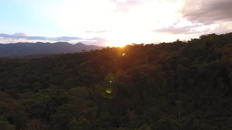 Aerial-drone-shot-of-the-amazonian-forest-in-Guiana-sunset-time